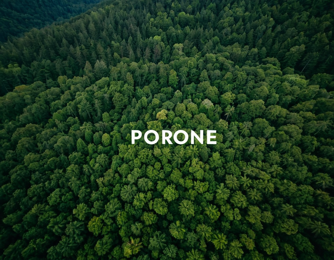 Featured image for blog post: Pro Drone Footage Guide